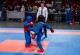 DSC_2011-300x200