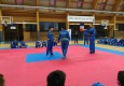 IMG_20171216_172241_BURST012